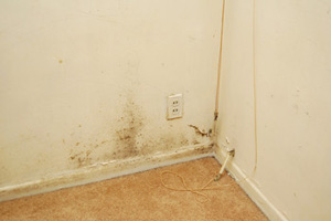 Stop air leaks